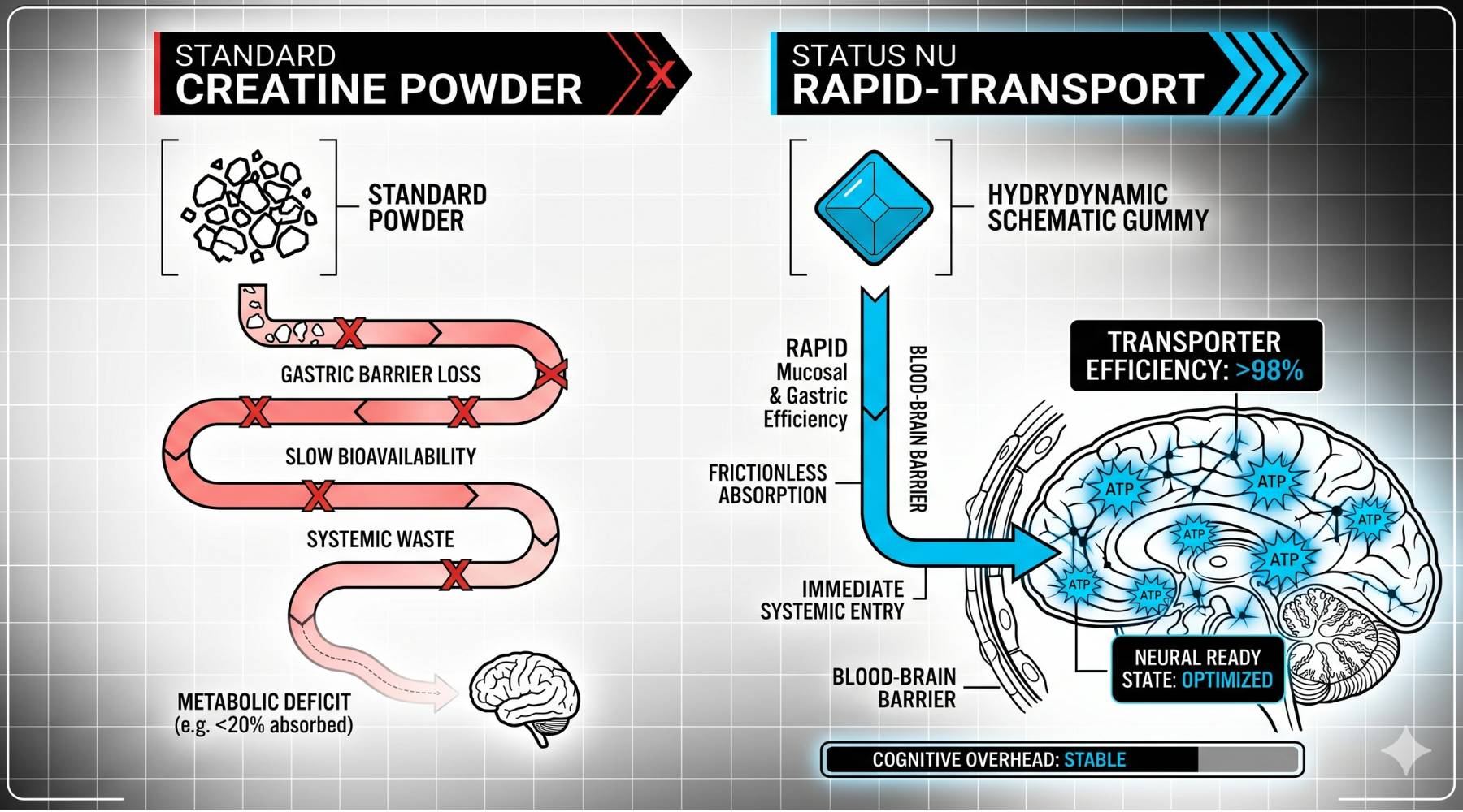 The Neural Protocol: Why Your Cognition is Leaking Potential